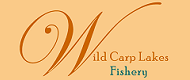 Wild Carp Lakes fishery